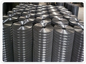 316 / 316L / 304L / 304 الفولاذ المقاوم للصدأ شبكة سلكية ملحومة 0.4M-2M عرض مضاد للأكسدة